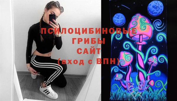 spice Алексеевка