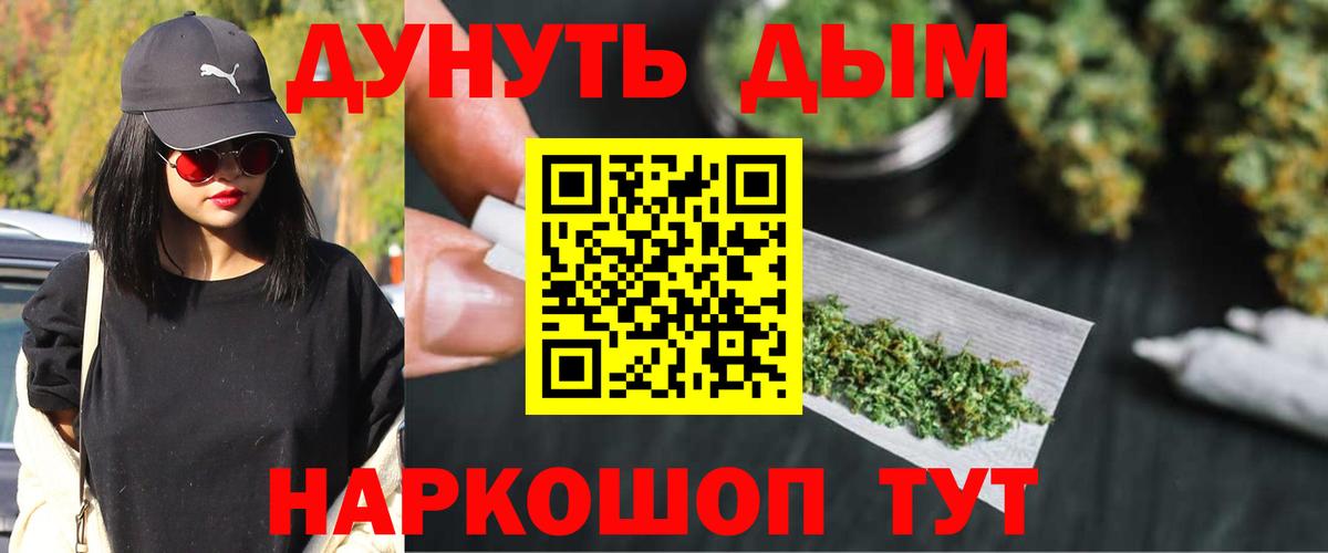 Конопля сатива Ливны
